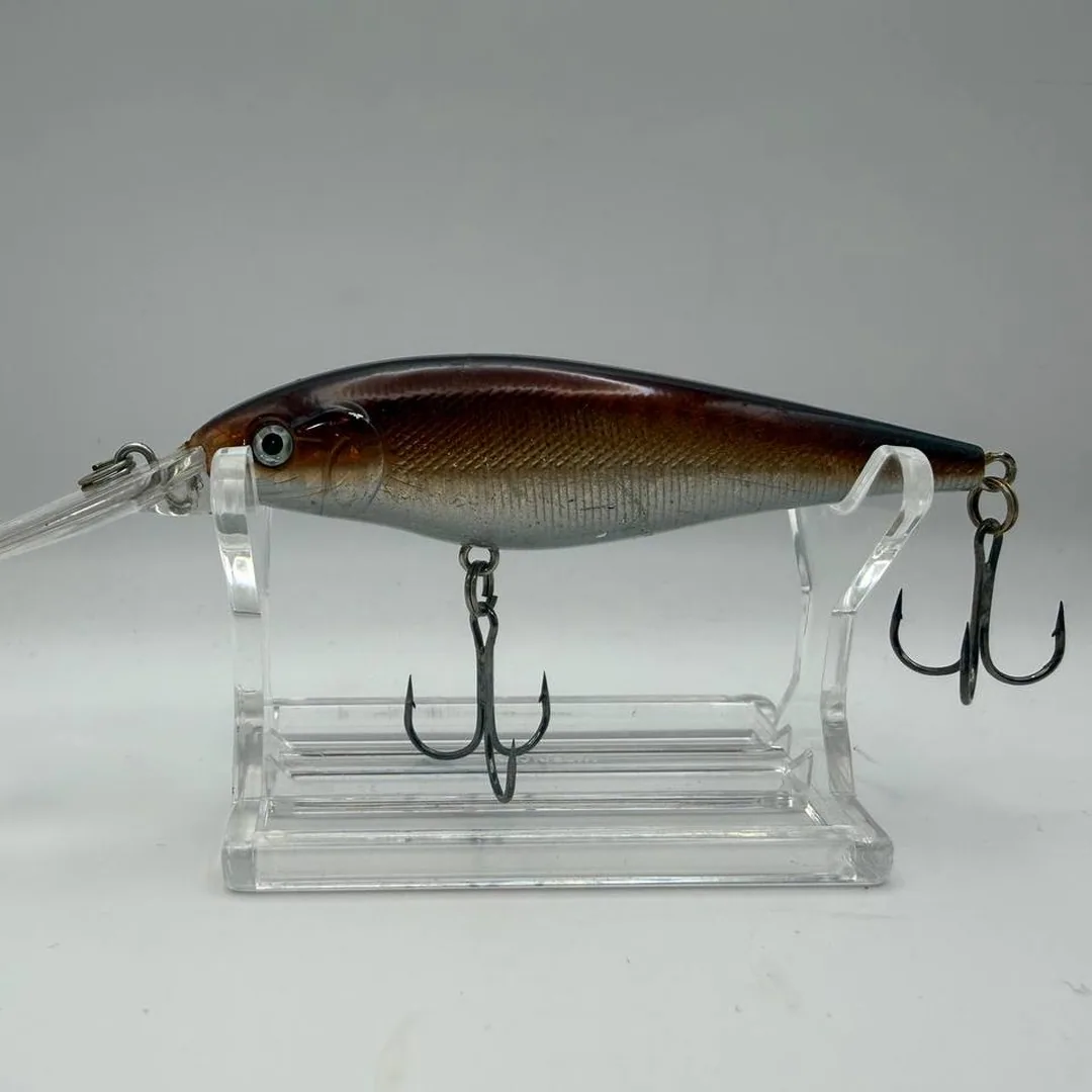 Wobler minnow z brązowym grzbietem i srebrnymi bokami — zdjęcie 1