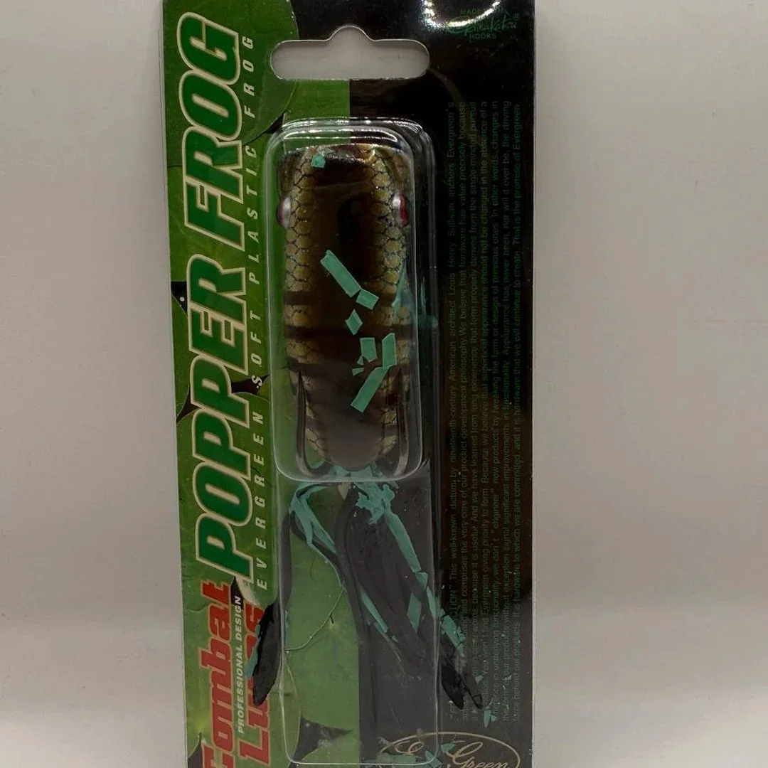 Evergreen Popper Frog z Japonii — zdjęcie 2