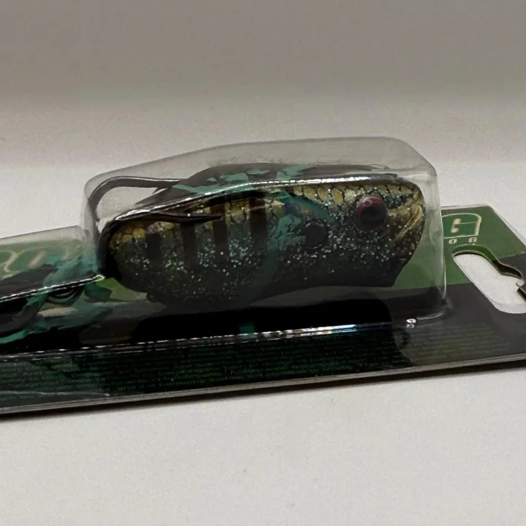 Evergreen Popper Frog z Japonii — zdjęcie 3