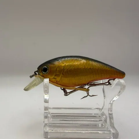Wobler minnow z ciemnym grzbietem i złotymi bokami