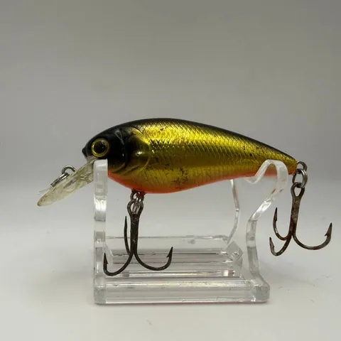 Crankbait czarny grzbiet, złote boki, pomarańczowy brzuch