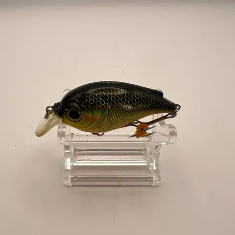 Crankbait Pinnacle, czarny grzbiet, złote boki